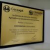 Placa de Reconocimiento