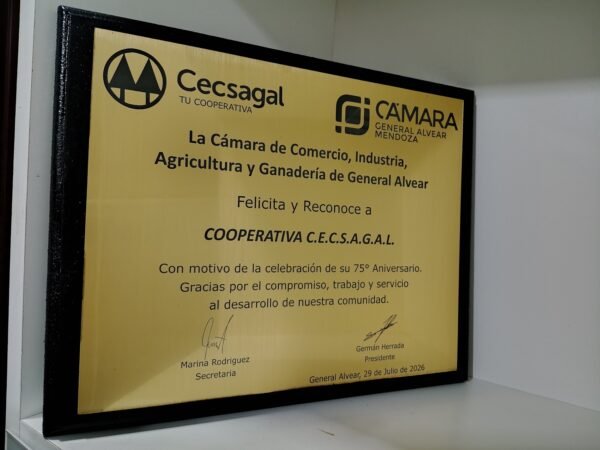 Placa de Reconocimiento